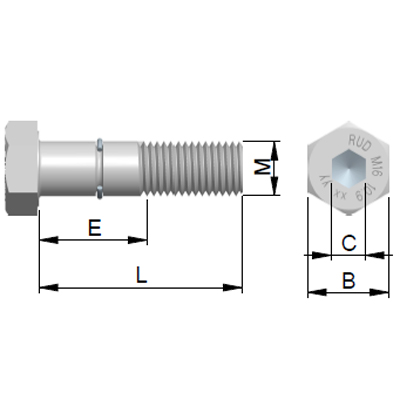Bolts for VLBG plus 1